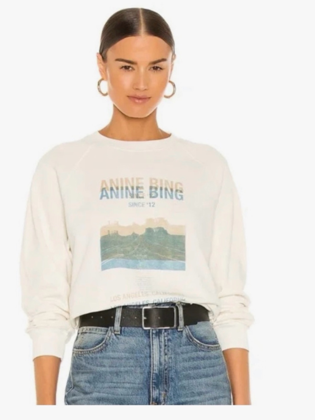 Anine Bing Arlo Desert Road Sweatshirt